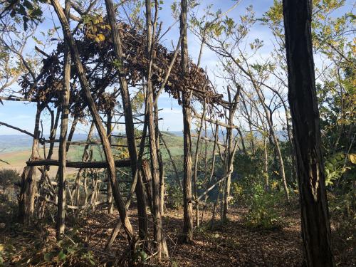 Smartphone (6165).JPG